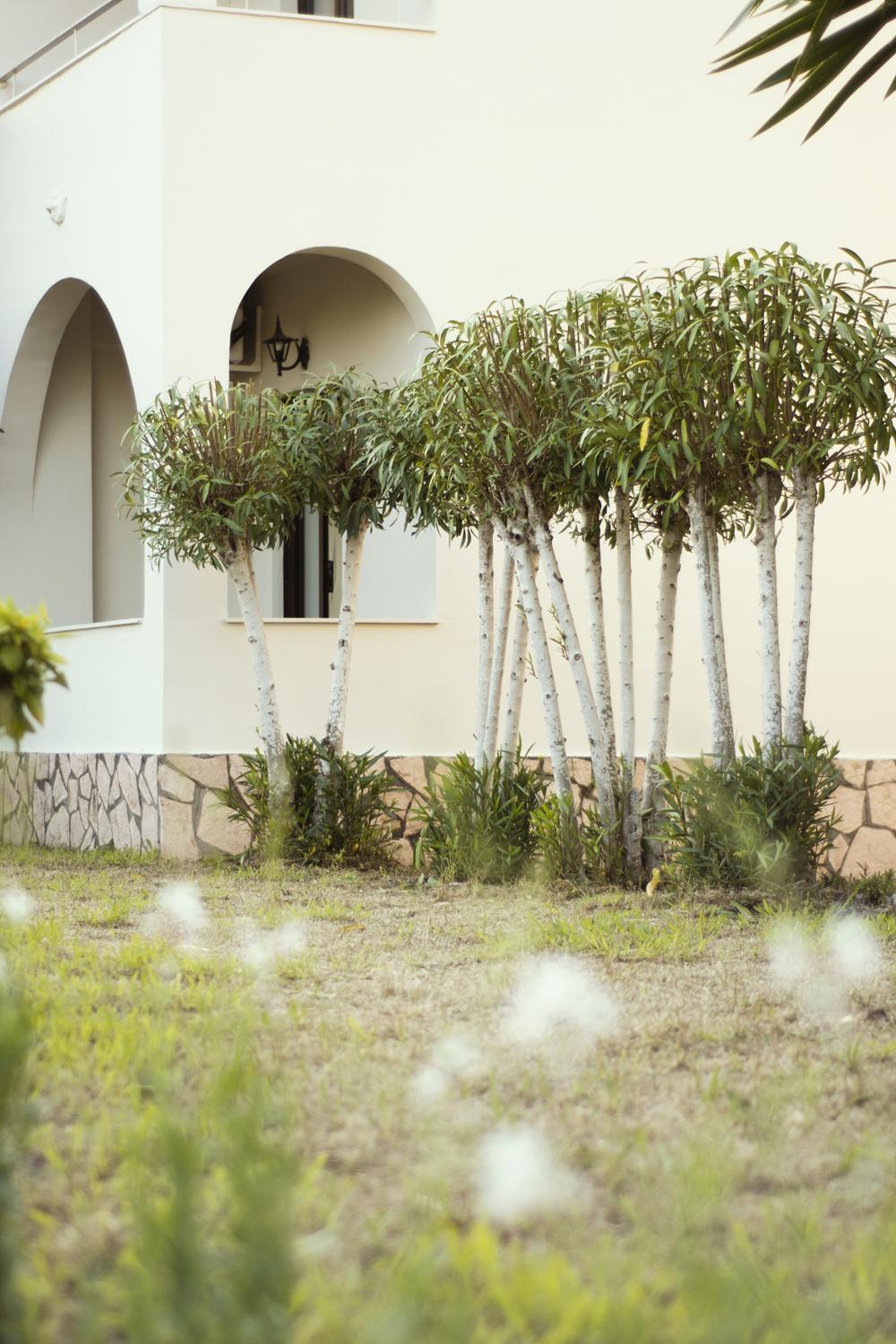 Apartmán Parakladi Seaside Retreat Lefkímmi Exteriér fotografie
